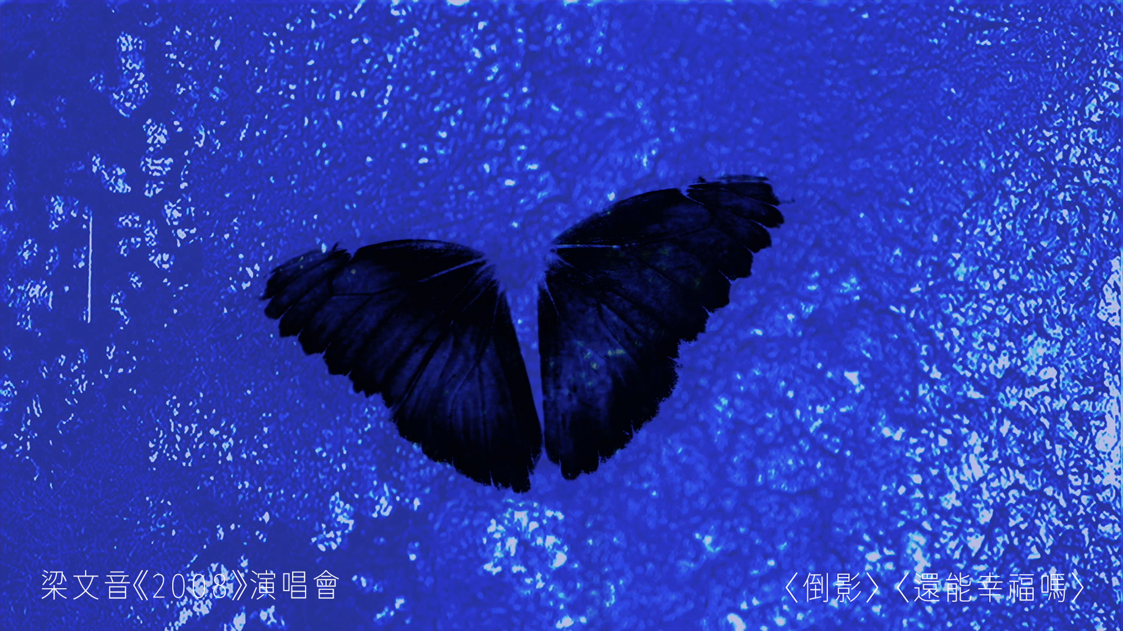梁文音《2008》演唱會 〈倒影〉〈還能幸福嗎〉
